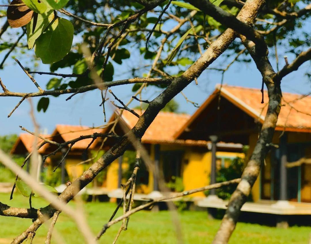Kumbukgaha Villa Sigiriya Ngoại thất bức ảnh