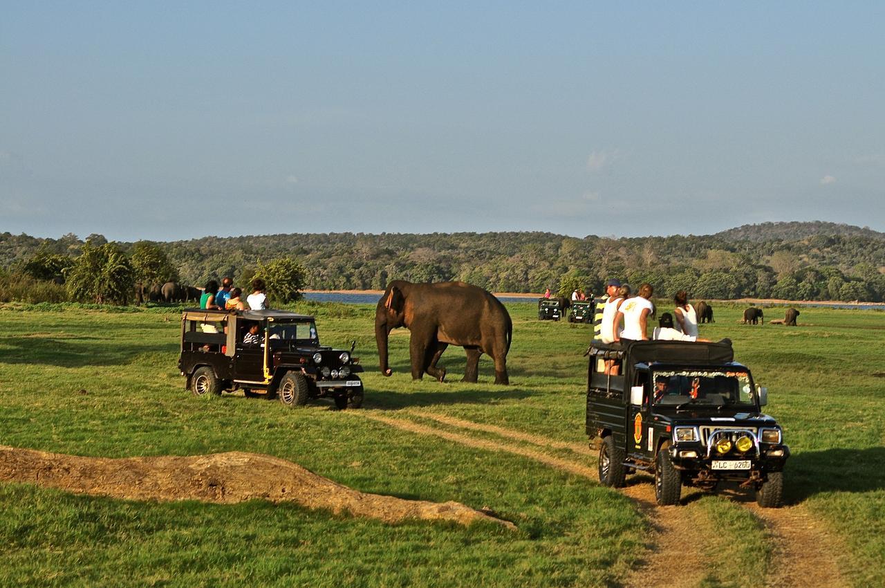 Kumbukgaha Villa Sigiriya Ngoại thất bức ảnh